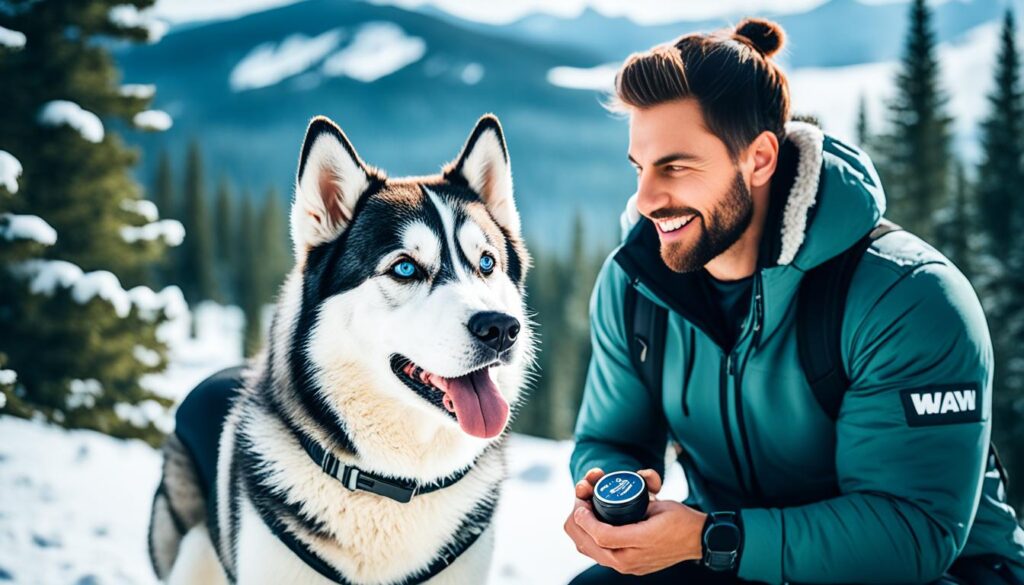 siberische-husky-media-influencer