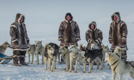 huskys-en-inheemse-culturen