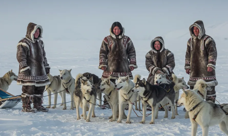 De rol van Siberische Husky’s in inheemse culturen